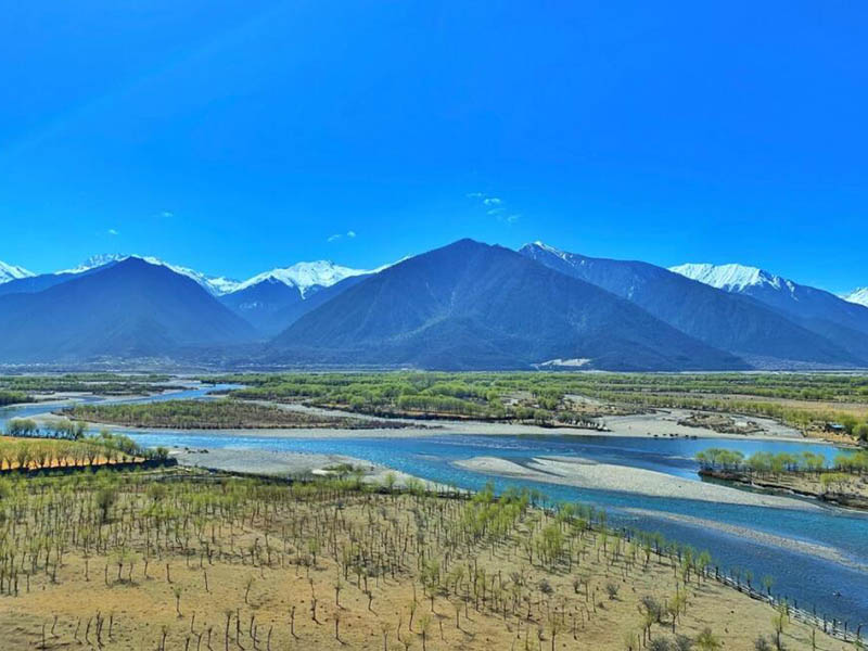 總氮檢測儀使用時需要注意的事項