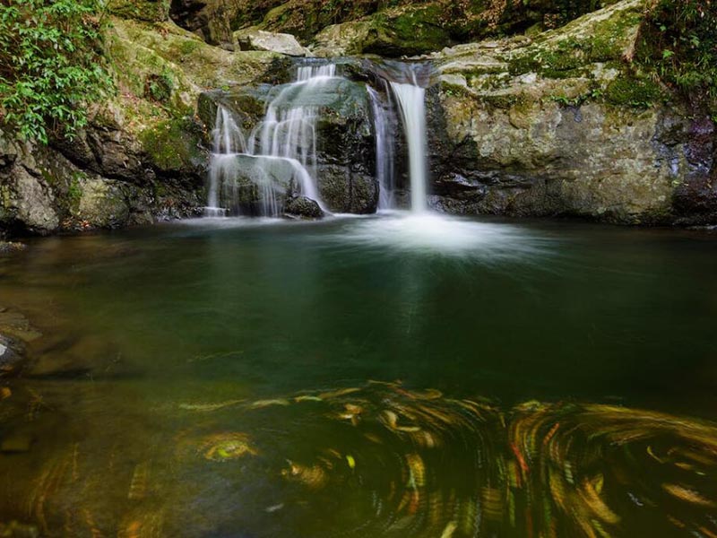 5參數水質檢測儀可以檢測哪些參數