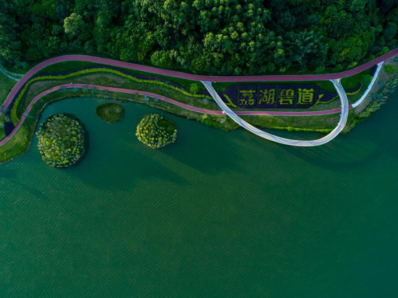 酶底物法檢測糞大腸菌群的原理