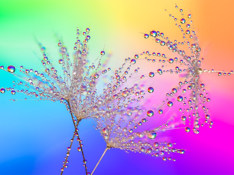 生活飲用水硝酸鹽標(biāo)準(zhǔn)值(水質(zhì)硝酸鹽檢測(cè)國(guó)標(biāo))