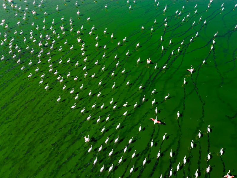 氨氮總氮檢測(cè)儀類型(氨氮總氮檢測(cè)儀適用場(chǎng)景)