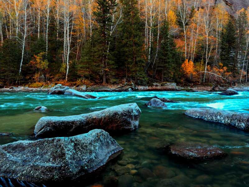 氨氮測(cè)定儀基本工作原理(氨氮測(cè)定儀類型)