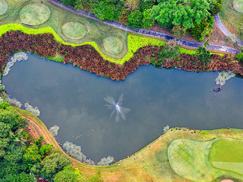 水質(zhì)氰化物測(cè)定儀使用條件要求(水質(zhì)氰化物測(cè)定儀原理)